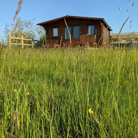 Foxhill Lodges 캔터베리 외부 사진